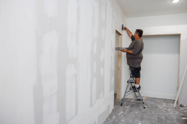 Best Residential Painting  in Pasadena, MD